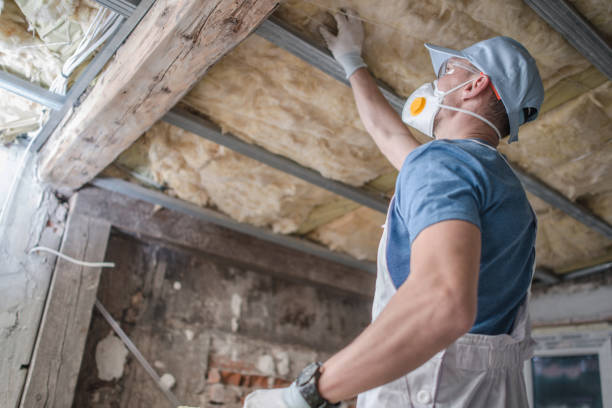 Types of Insulation We Offer in WY