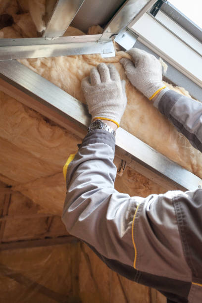 Best Insulation Maintenance and Repair in Douglas, WY