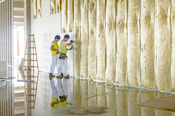 Best Commercial Insulation in Douglas, WY